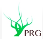 PRG db logo.png
