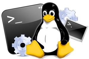 Linux image.jpg